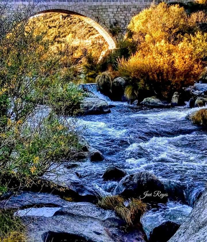 El Mirador Daire Burgohondo Dış mekan fotoğraf